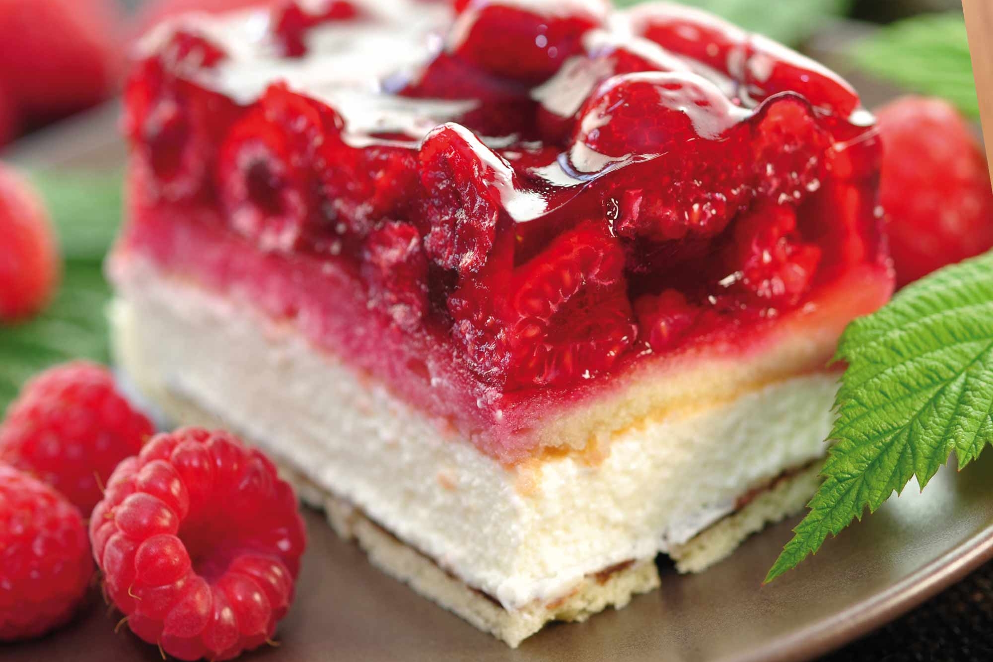 Stück Himbeerkuchen im Café insgrüne Harburg