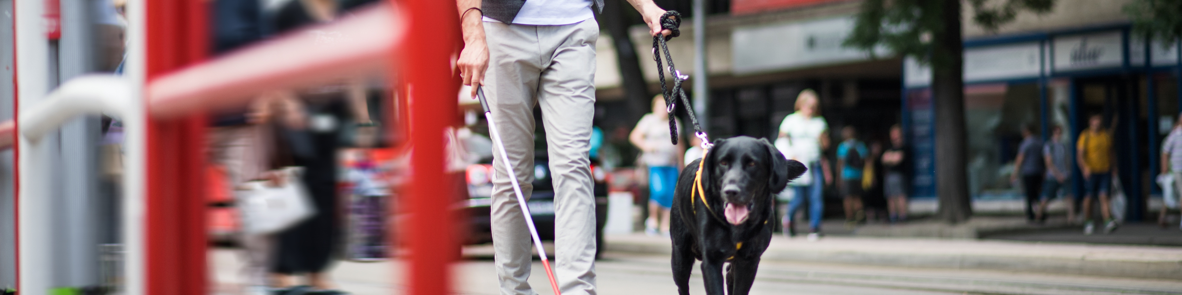 Junger Mann geht mit seinem Blindenführhund durch die Stadt