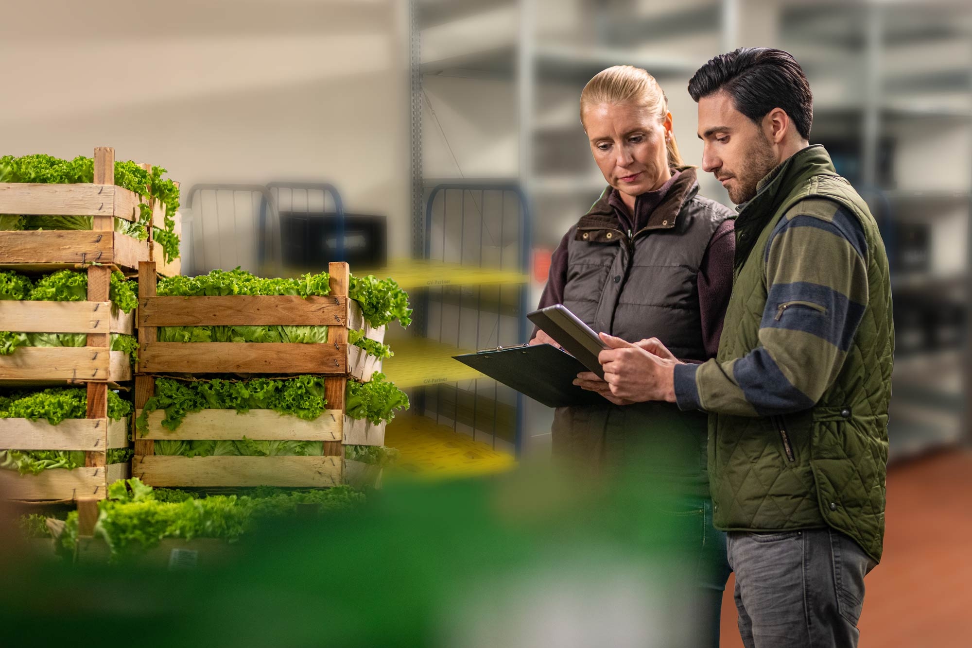 Mann und Frau stehen vor gestapelten Holzkisten mit grünem Salat Mann und Frau stehen vor gestapelten Holzkisten mit grünem Salat