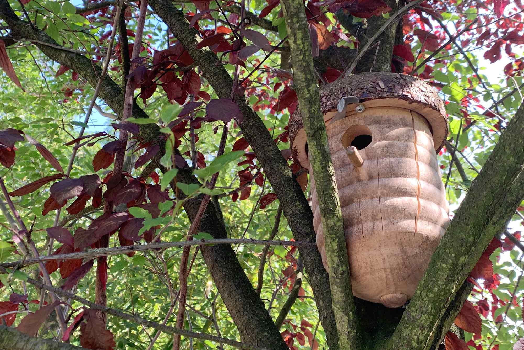  Vogelhaus in einem Baum der Kita KinderCampus.