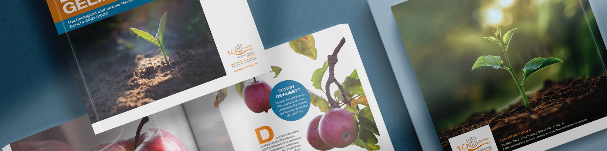 Nachhaltigkeitsbericht des Studierendenwerks Hamburg